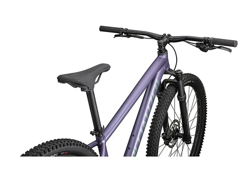 Rockhopper Comp Mauve / Fjord-4