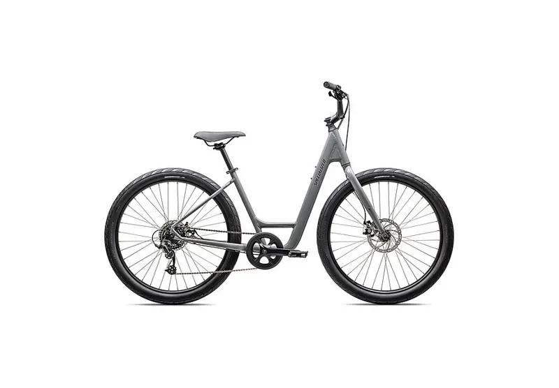 Roll 2.0 Low Entry Grey/Smoke