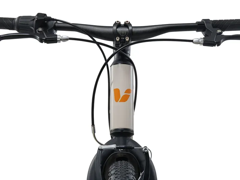 Liv Tempt 24 Lite Youth Mountain Bike in Mushroom-5