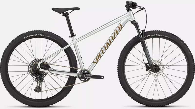 Specialized Rockhopper Expert in Silver/Burnt Gold