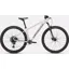 Specialized Rockhopper Expert in Silver/Burnt Gold